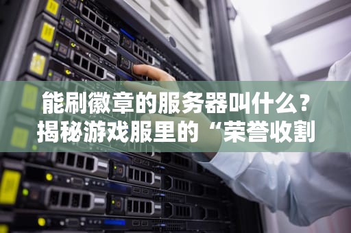 能刷徽章的服务器叫什么？揭秘游戏服里的“荣誉收割机”！