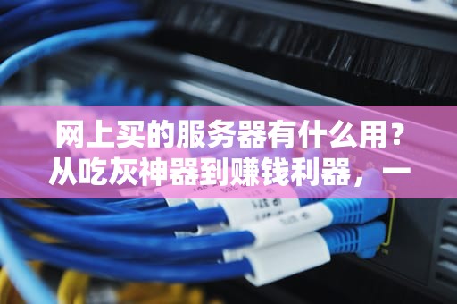 网上买的服务器有什么用？从吃灰神器到赚钱利器，一文读懂！