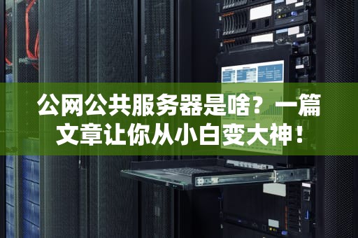 公网公共服务器是啥？一篇文章让你从小白变大神！