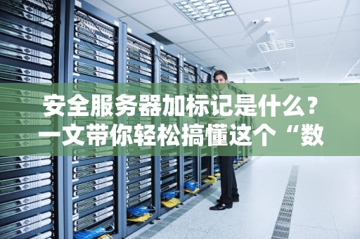 安全服务器加标记是什么？一文带你轻松搞懂这个“数字保镖”！