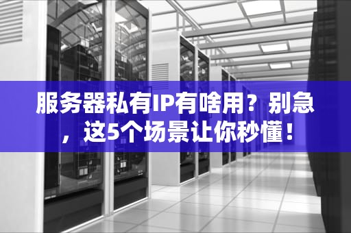 服务器私有IP有啥用？别急，这5个场景让你秒懂！