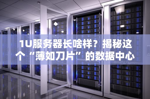 1U服务器长啥样？揭秘这个“薄如刀片”的数据中心猛男！