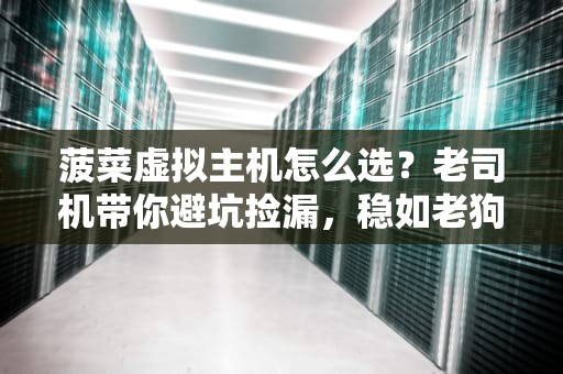菠菜虚拟主机怎么选？老司机带你避坑捡漏，稳如老狗！