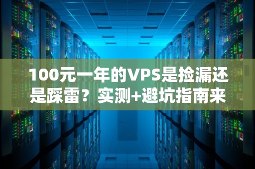 100元一年的VPS是捡漏还是踩雷？实测+避坑指南来了！