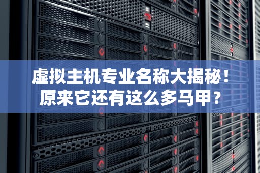 虚拟主机专业名称大揭秘！原来它还有这么多马甲？