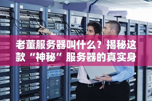 老董服务器叫什么？揭秘这款“神秘”服务器的真实身份与性能表现！