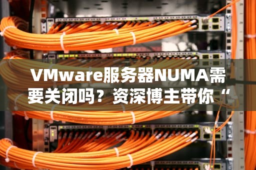 VMware服务器NUMA需要关闭吗？资深博主带你“解剖”性能玄学！
