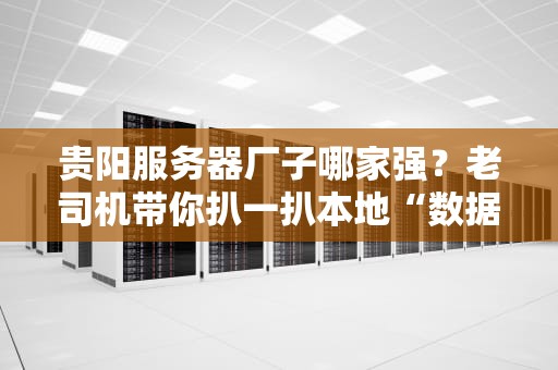 贵阳服务器厂子哪家强？老司机带你扒一扒本地“数据引擎”的硬核实力！