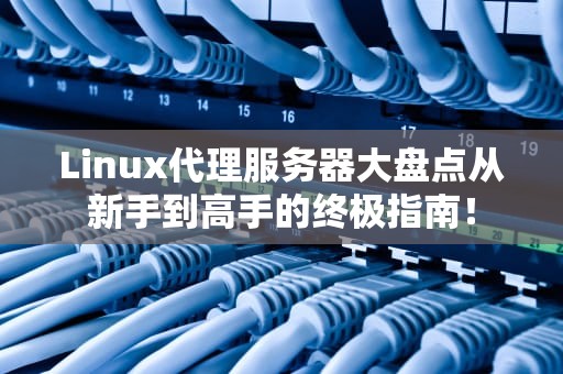 Linux代理服务器大盘点从新手到高手的终极指南！