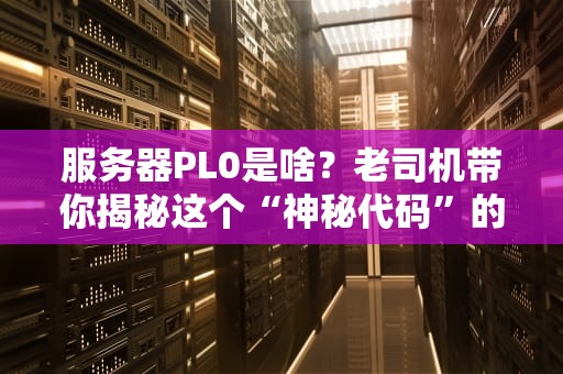 服务器PL0是啥？老司机带你揭秘这个“神秘代码”的真相！