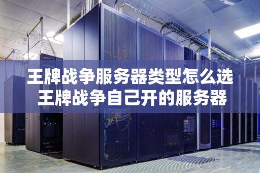 王牌战争服务器类型怎么选 王牌战争自己开的服务器自己进不去吗？