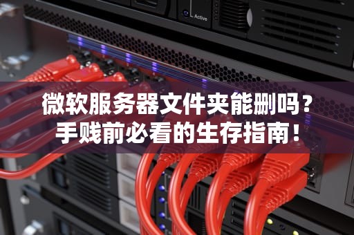 微软服务器文件夹能删吗？手贱前必看的生存指南！