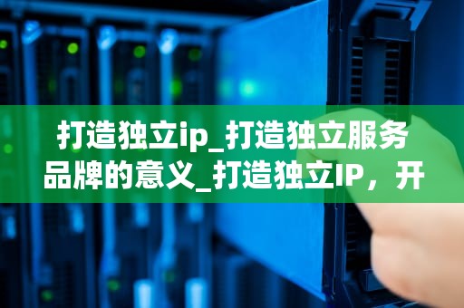 打造独立ip_打造独立服务品牌的意义_打造独立IP，开启品牌新纪元