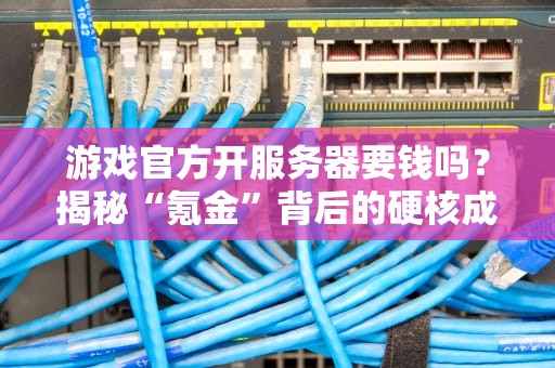 游戏官方开服务器要钱吗？揭秘“氪金”背后的硬核成本！