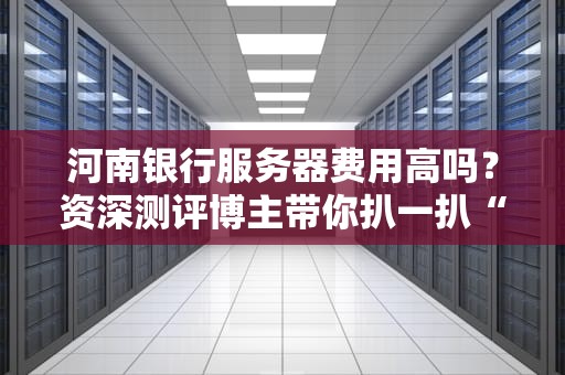 河南银行服务器费用高吗？资深测评博主带你扒一扒“钞能力”真相！