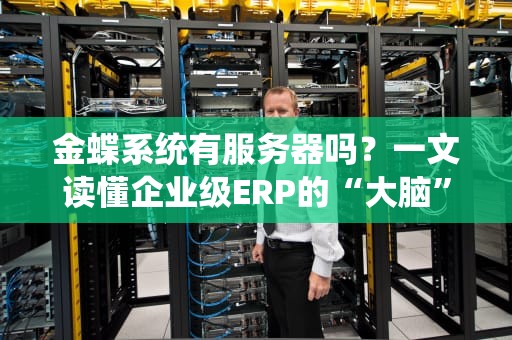金蝶系统有服务器吗？一文读懂企业级ERP的“大脑”在哪！