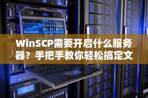 WinSCP需要开启什么服务器？手把手教你轻松搞定文件传输！