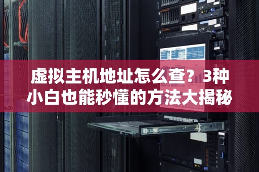 虚拟主机地址怎么查？3种小白也能秒懂的方法大揭秘！