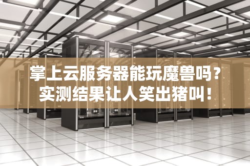 掌上云服务器能玩魔兽吗？实测结果让人笑出猪叫！