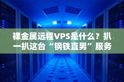 裸金属远程VPS是什么？扒一扒这台“钢铁直男”服务器的硬核真相！
