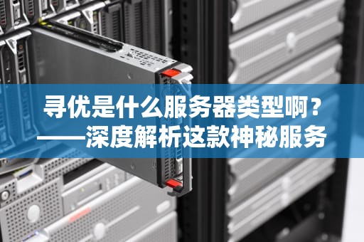 寻优是什么服务器类型啊？——深度解析这款神秘服务器的前世今生