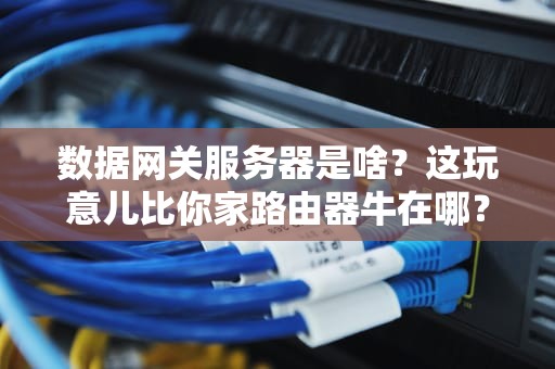 数据网关服务器是啥？这玩意儿比你家路由器牛在哪？