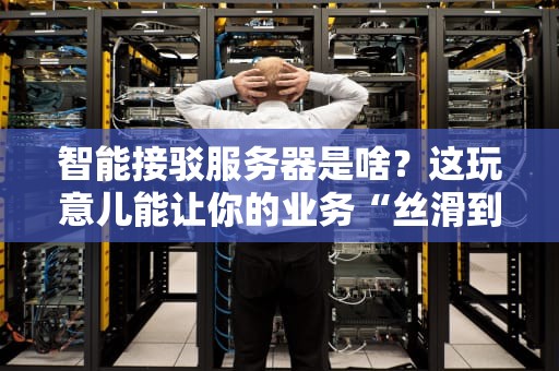 智能接驳服务器是啥？这玩意儿能让你的业务“丝滑到飞起”吗？