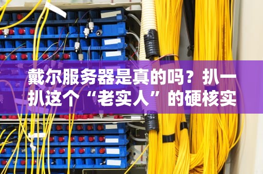 戴尔服务器是真的吗？扒一扒这个“老实人”的硬核实力！