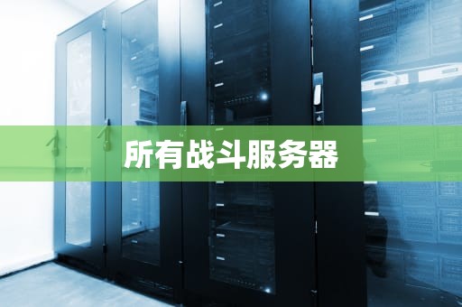 所有战斗服务器