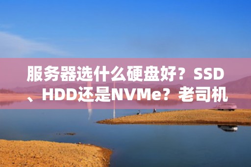 服务器选什么硬盘好？SSD、HDD还是NVMe？老司机带你避坑不翻车！