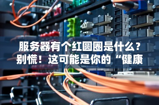 服务器有个红圆圈是什么？别慌！这可能是你的“健康警报灯”在闪！