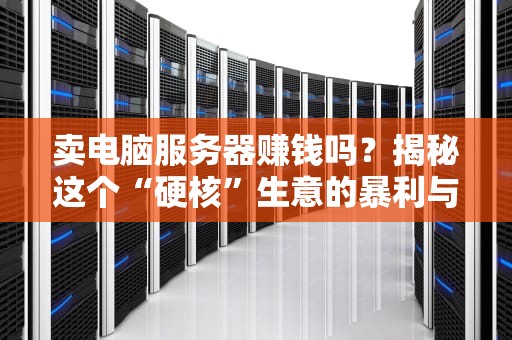 卖电脑服务器赚钱吗？揭秘这个“硬核”生意的暴利与陷阱！
