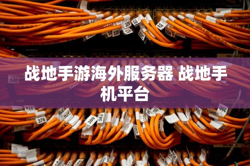 战地手游海外服务器 战地手机平台