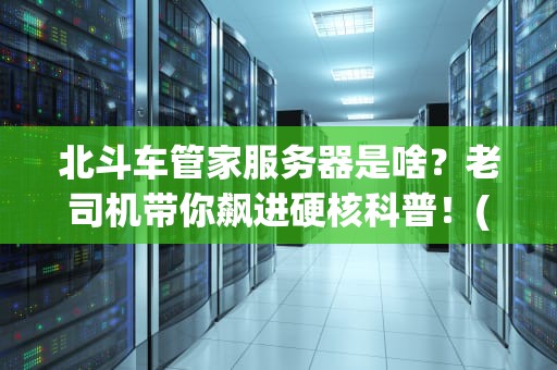 北斗车管家服务器是啥？老司机带你飙进硬核科普！(附真实测评数据)