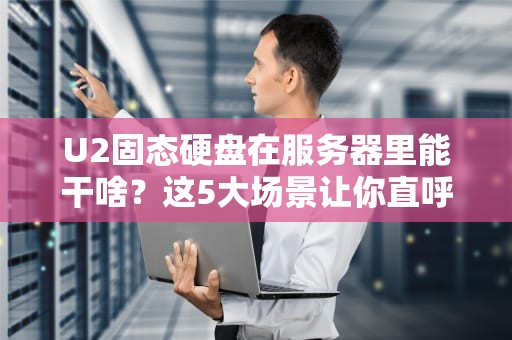 U2固态硬盘在服务器里能干啥？这5大场景让你直呼“真香”！