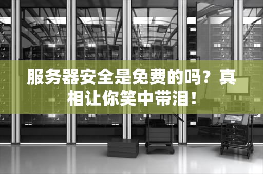 服务器安全是免费的吗？真相让你笑中带泪！
