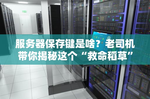 服务器保存键是啥？老司机带你揭秘这个“救命稻草”的骚操作！