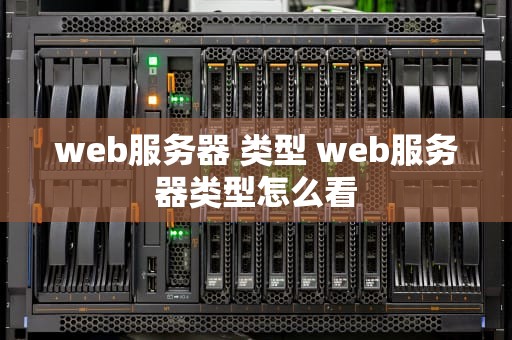 web服务器 类型 web服务器类型怎么看