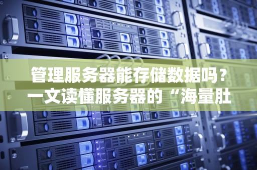 管理服务器能存储数据吗？一文读懂服务器的“海量肚量”与“吃货属性”