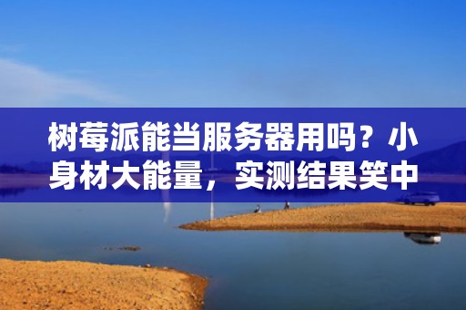 树莓派能当服务器用吗？小身材大能量，实测结果笑中带泪！