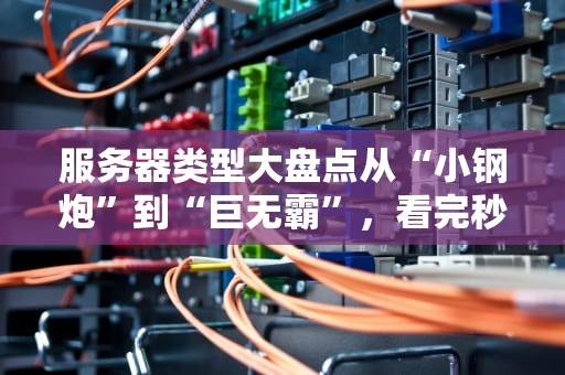 服务器类型大盘点从“小钢炮”到“巨无霸”，看完秒变老司机！