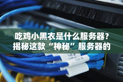 吃鸡小黑衣是什么服务器？揭秘这款“神秘”服务器的真实性能！