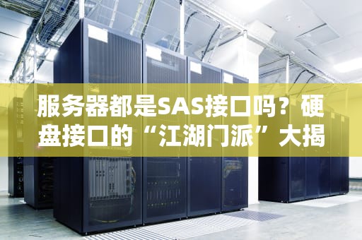 服务器都是SAS接口吗？硬盘接口的“江湖门派”大揭秘！