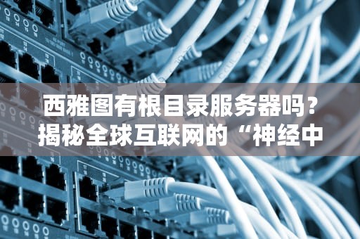 西雅图有根目录服务器吗？揭秘全球互联网的“神经中枢”分布