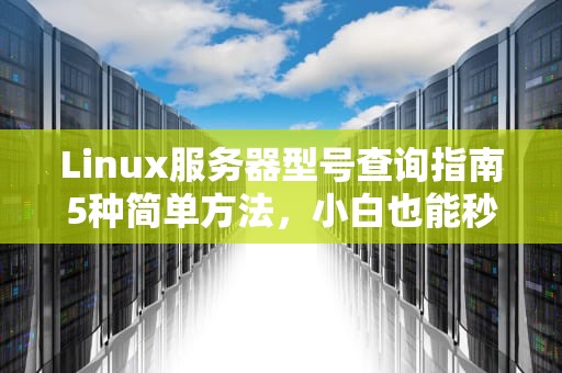 Linux服务器型号查询指南5种简单方法，小白也能秒变大神！