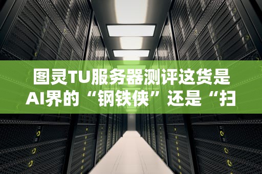 图灵TU服务器测评这货是AI界的“钢铁侠”还是“扫地僧”？