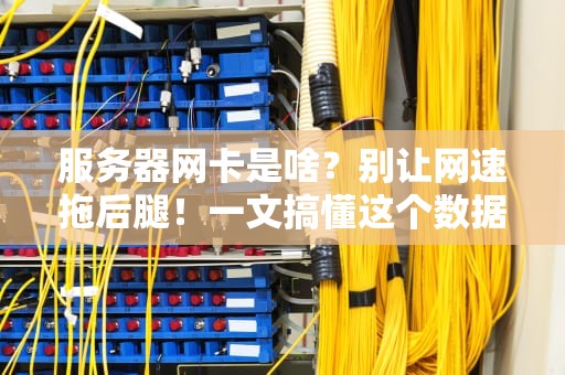 服务器网卡是啥？别让网速拖后腿！一文搞懂这个数据快递员的硬核知识