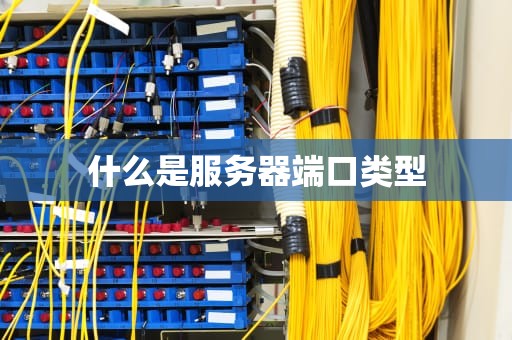 什么是服务器端口类型