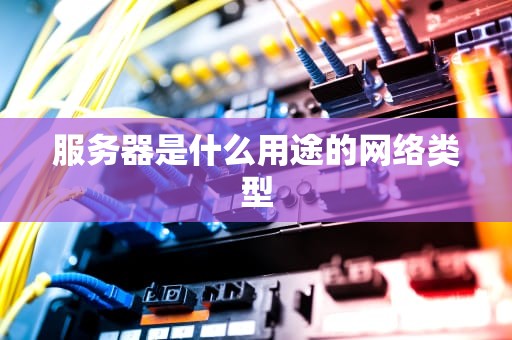 服务器是什么用途的网络类型