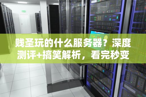 贱圣玩的什么服务器？深度测评+搞笑解析，看完秒变老司机！